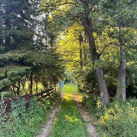 Dom Letniskowy Nad Jeziorem - Kaszuby Podjazdy Exterior photo